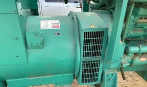 screenshot_2024-08-20_130331_1