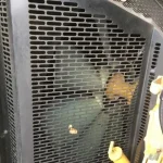 gs4098-catxq300-k-150x150