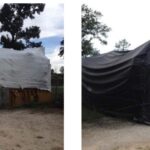 p6108-catc28016-150x150