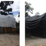 p6108-catc28016-d-150x150