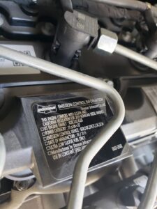 photo-2022-07-21-14-53-13_2_