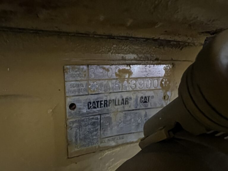 photo_nov_08_2022_2_37_14_pm